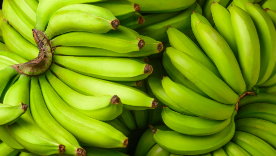 Reporte de exportaciones de banano (contenedores refrigerados) - Trimestre 1